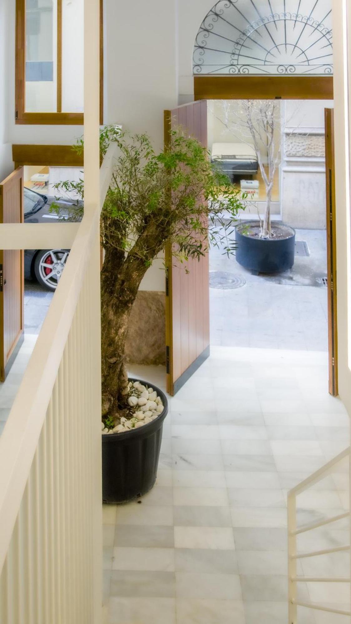 Catalina Suites Apartments Downtown فالنسيا المظهر الخارجي الصورة